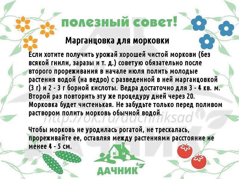 Томат гигант лимонный характеристика и описание сорта