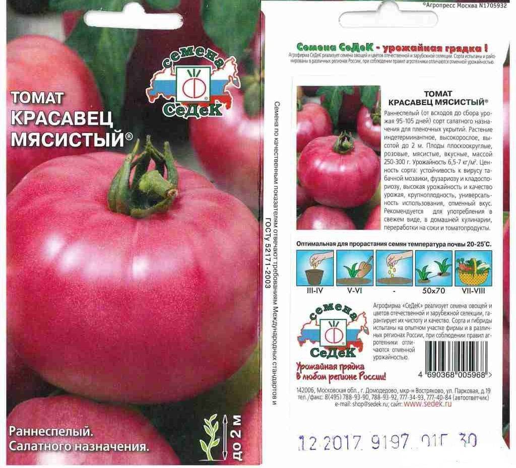 Томат рокер характеристика и описание сорта урожайность с фото