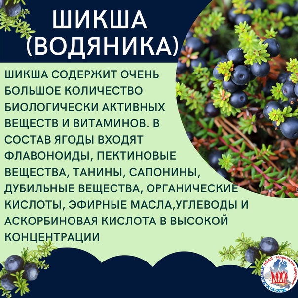 Гидроцеле (водянка яичка) у мужчин: причины, провоцирующие факторы, диагностика и лечение