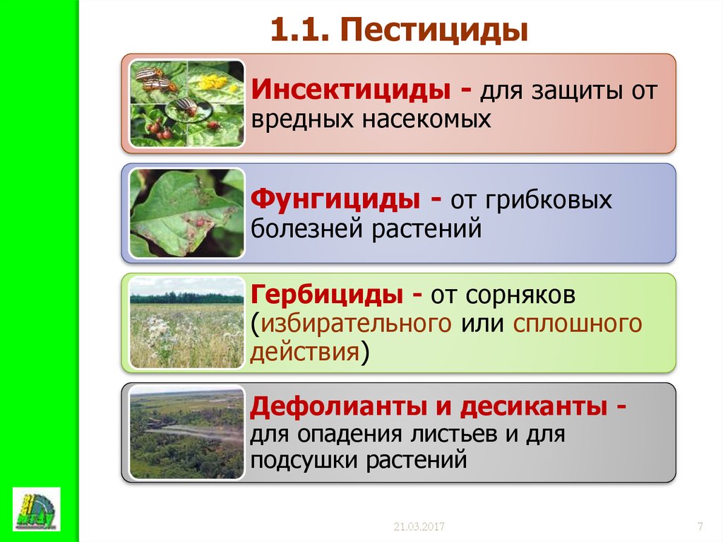 Авант, кэ