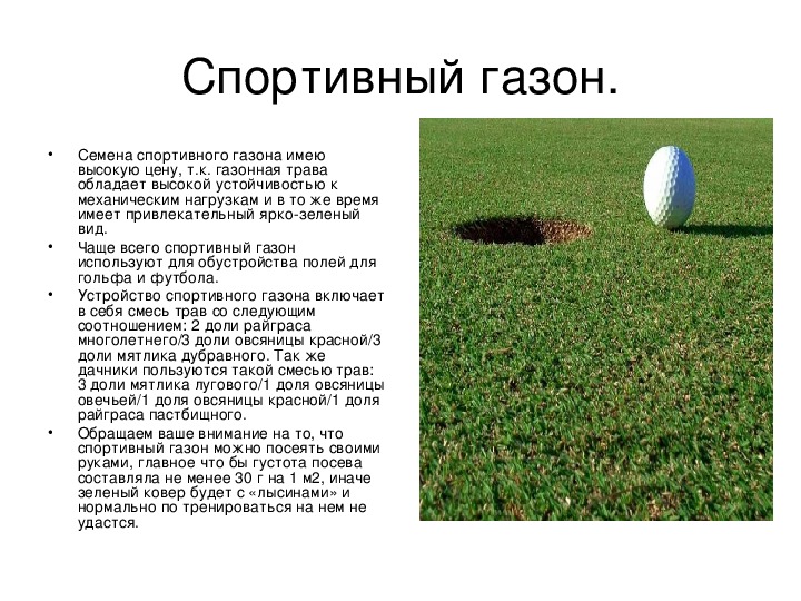Газонная трава: какую выбрать, как и когда садить, уход за газоном