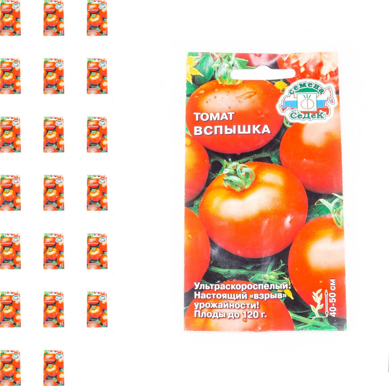 Томат вспышка: характеристика и описание сорта, отзывы, фото