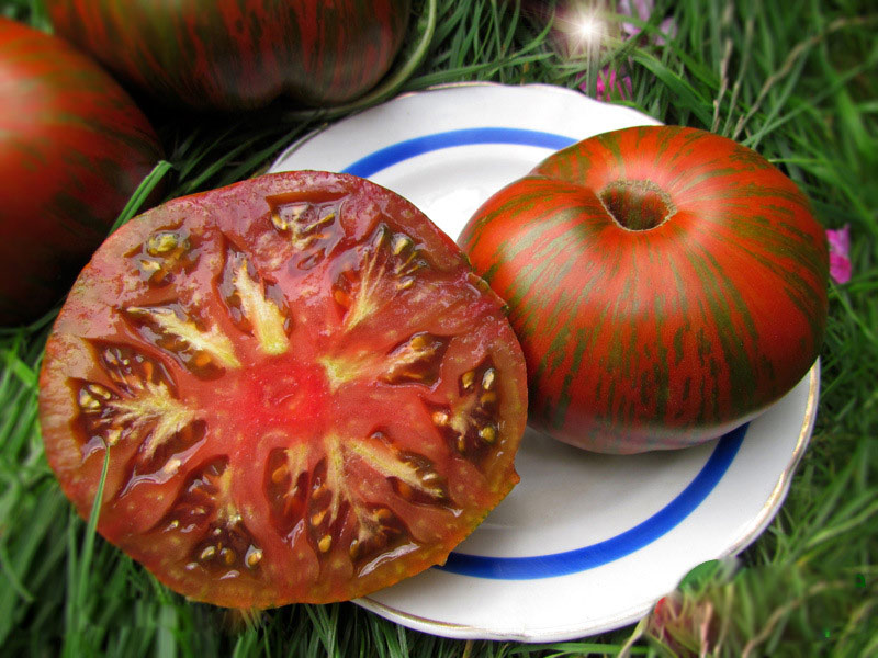 Желтые сорта томатов: самые сладкие, вкусные и урожайные, описание с фото, отзывы, ранние, черри, для открытого грунта и теплицы