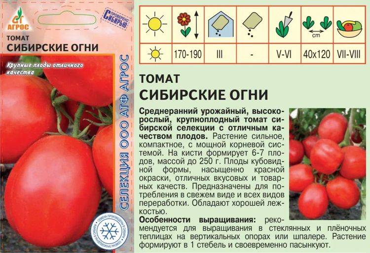 Томат бурковский ранний: характеристика и описание сорта, урожайность с фото