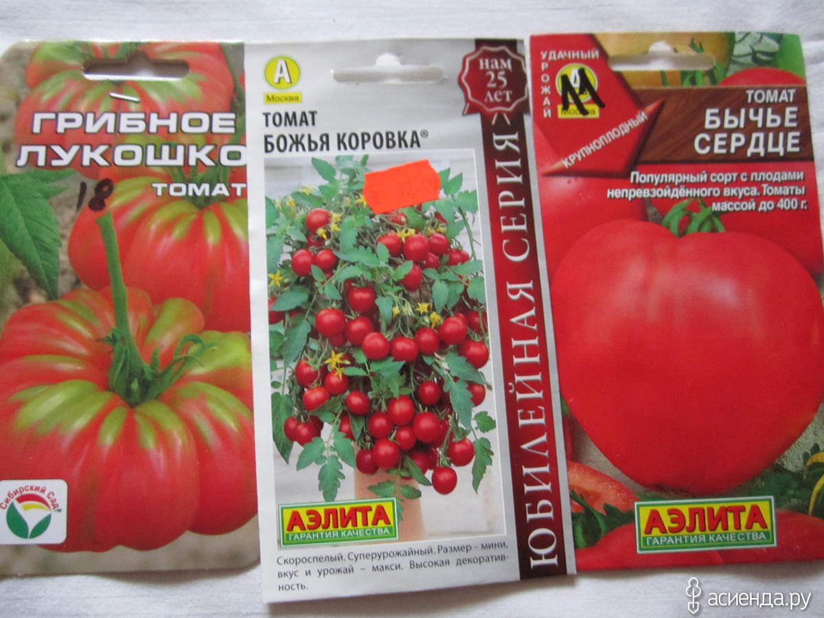 Томат божья коровка: характеристика и описание сорта, урожайность, отзывы