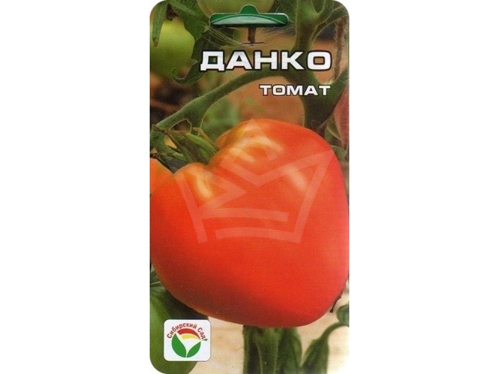 Характеристика необычных томатов сорта данко и описание плодов