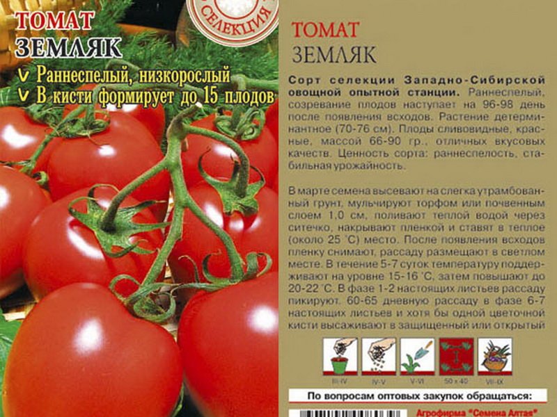 Томат основные цвета: характеристики и описание сорта, урожайность, отзывы, фото