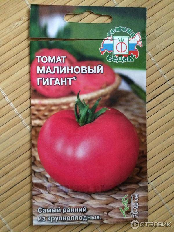 Лучший низкорослый сорт томата – яркий вкус и повышенная урожайность!