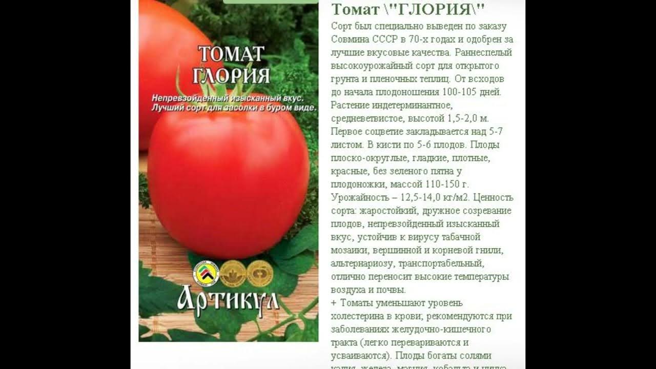 Ранние помидоры для теплиц из поликарбоната. лучшие сорта