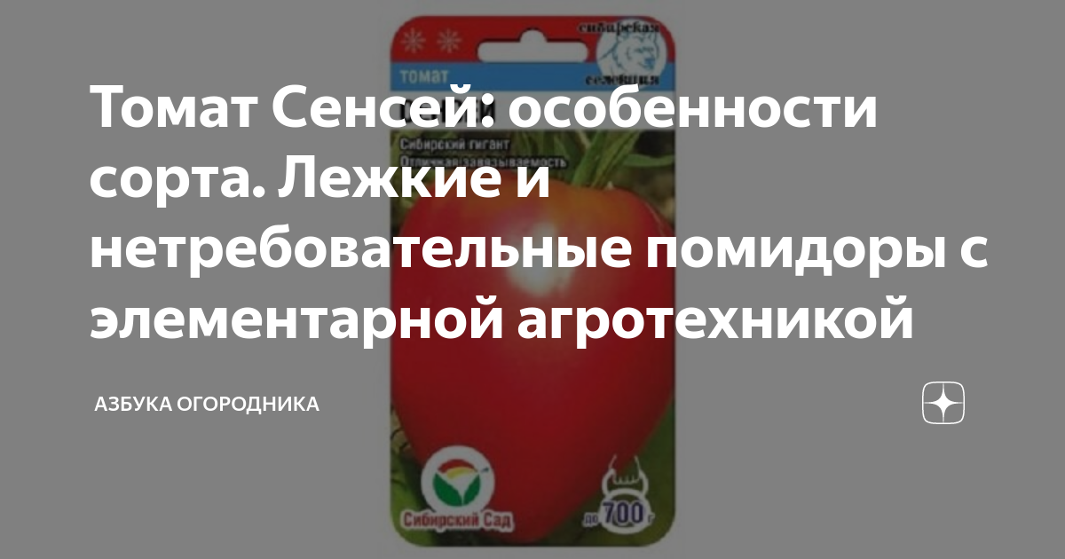Томат "сенсей": описание помидоров и характеристика сорта, фото, урожайность куста