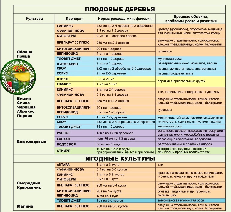 Миндаль декоративный кустарник — выращивание и уход в саду