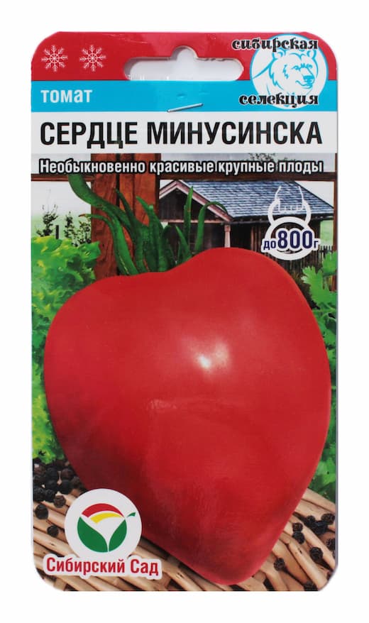 Минусинские помидоры: описание и характеристики сортов, отзывы дачников с фото