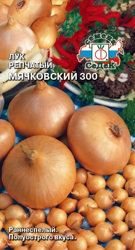 Лук мячковский: описание сорта, отзывы