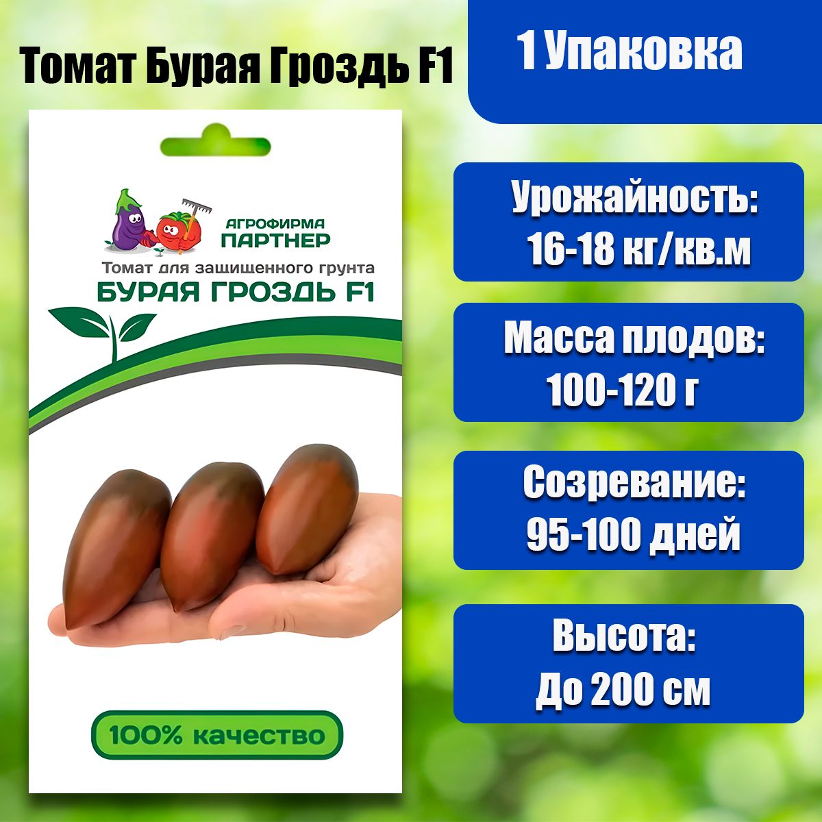 Томат виноградная гроздь: отзывы, фото, урожайность, посадка и уход