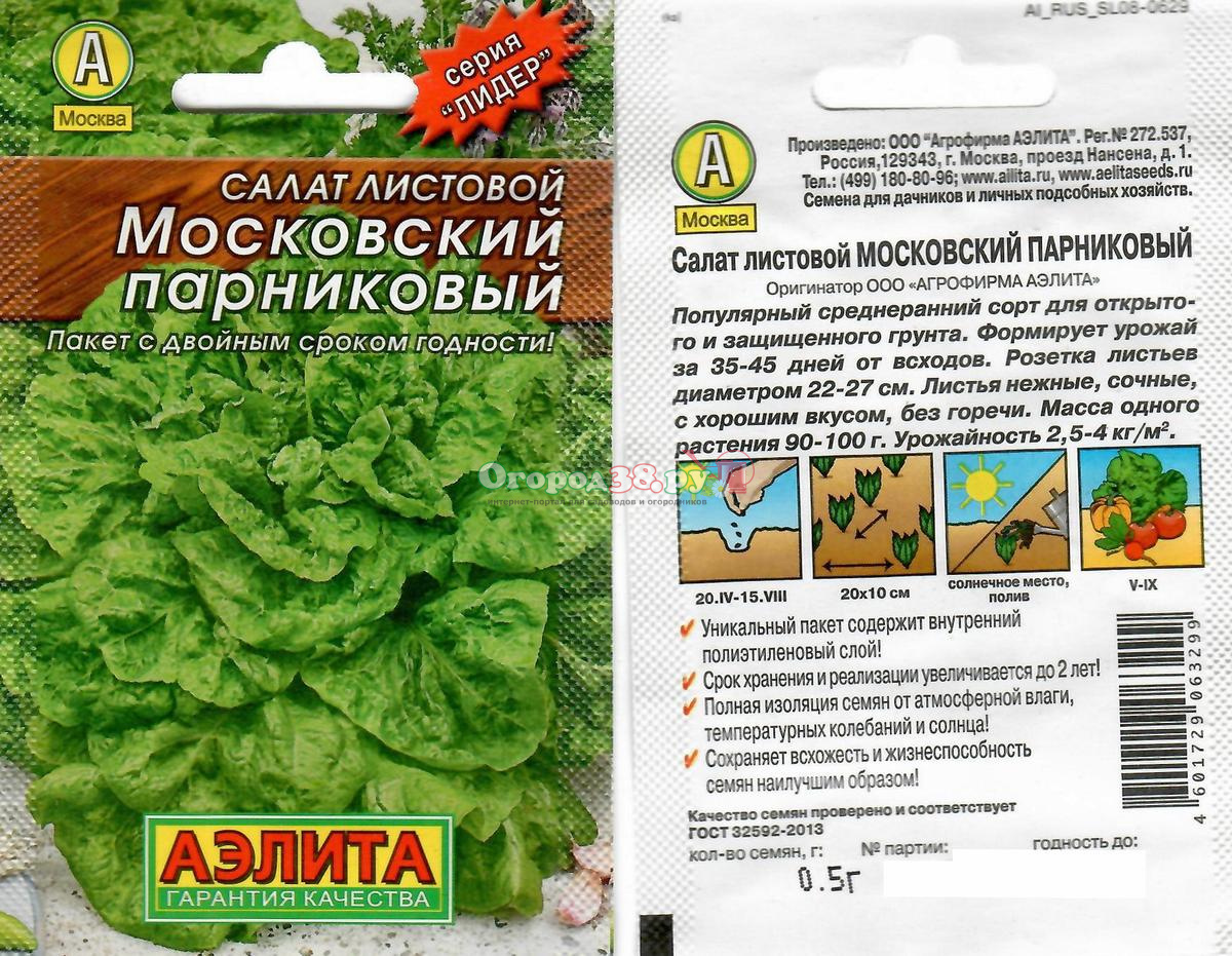 Салат листовой посевной - описание, польза и вред, рецепты