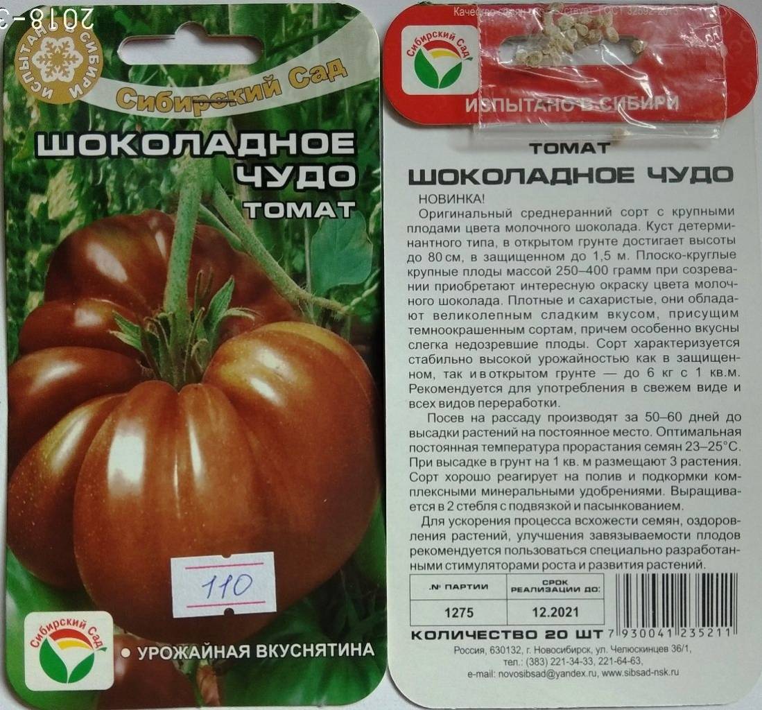 Сорт томатов шоколадный, описание, характеристика, фото и отзывы тех, кто сажал, а также особенности выращивания