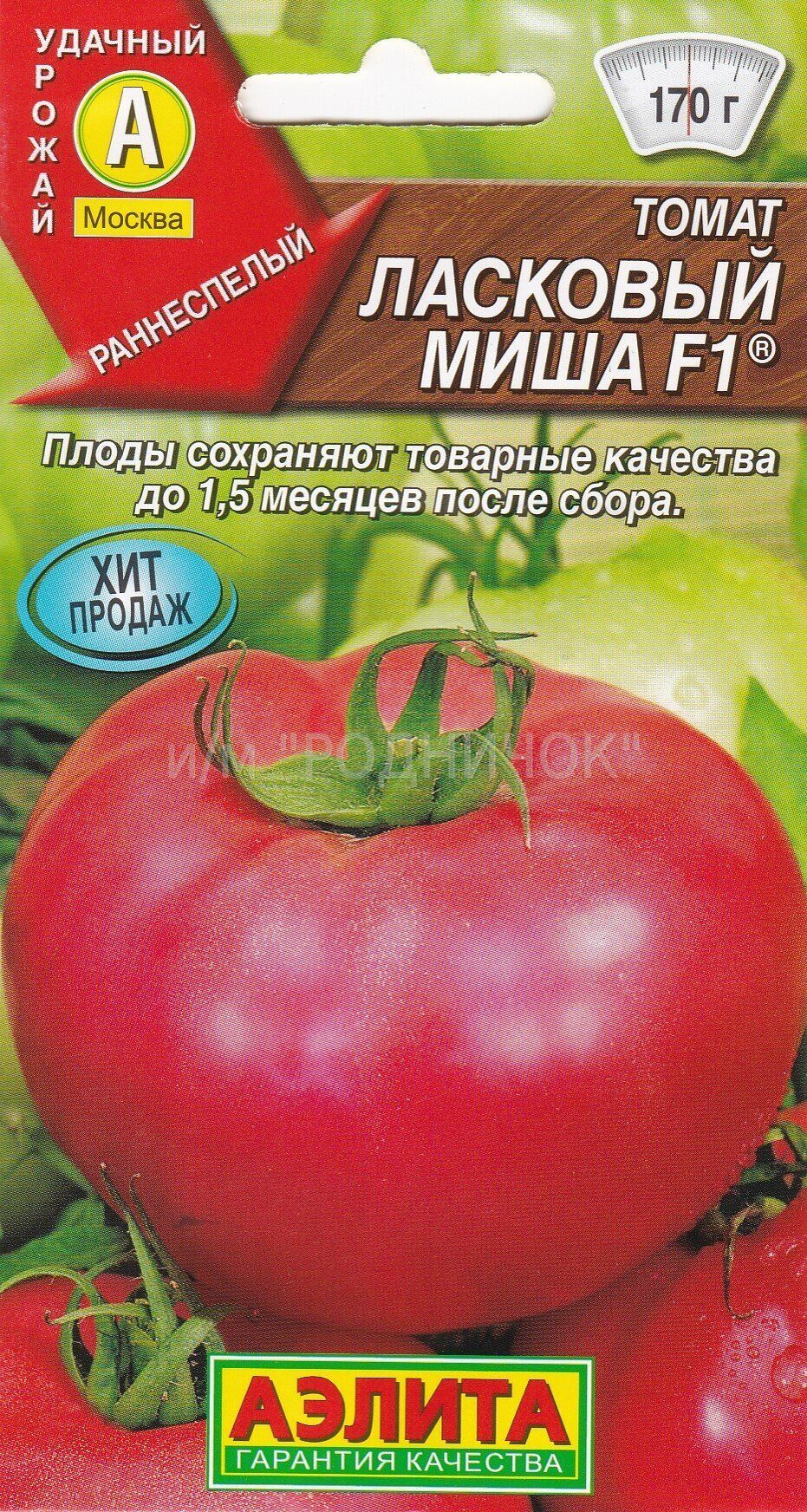 Томат ласковый миша: характеристика и описание раннеспелого сорта с фото