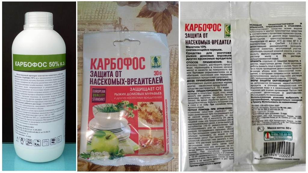 Применение инсектицидов на огороде , классификация