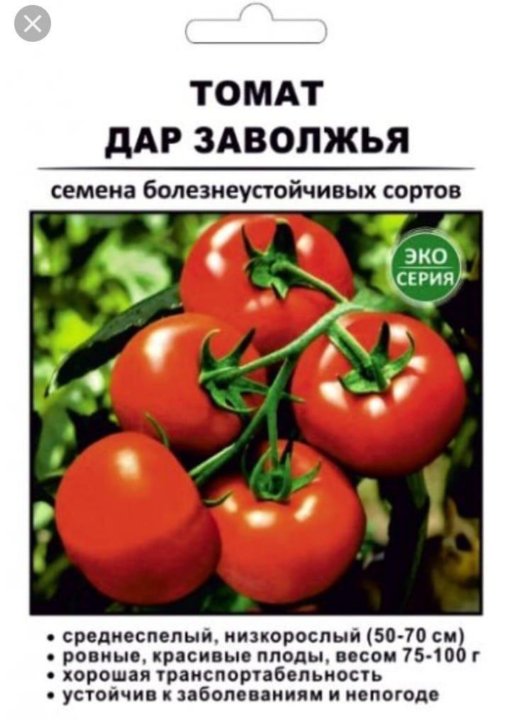 Томат дар заволжья: характеристика и описание красного сорта, отзывы тех кто сажал помидоры об их урожайности, фото семян