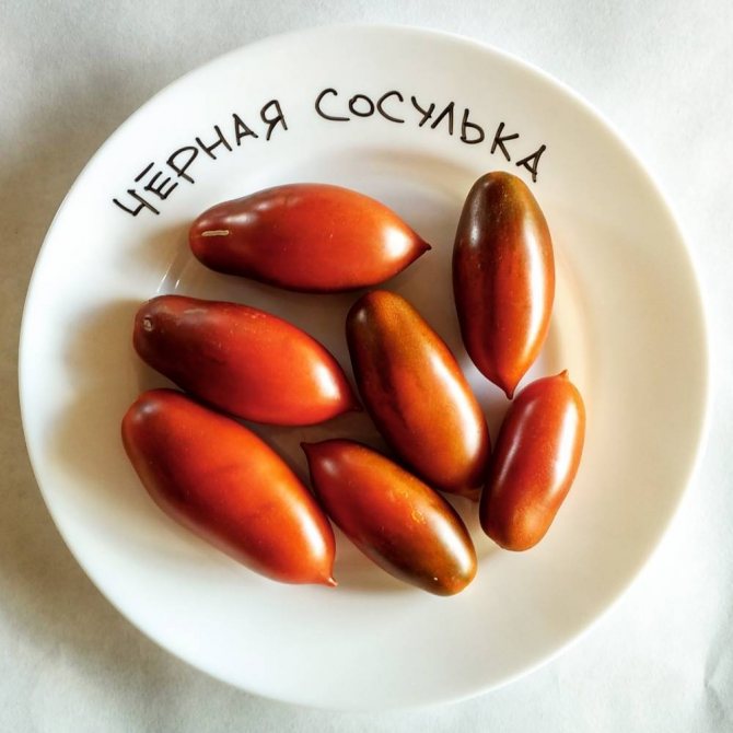 Томат сосулька черная: характеристика и описание сорта, отзывы, фото, урожайность