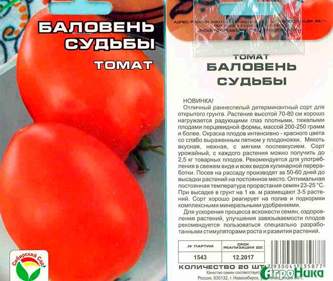 Описание сорта томата акварель и его характеристики