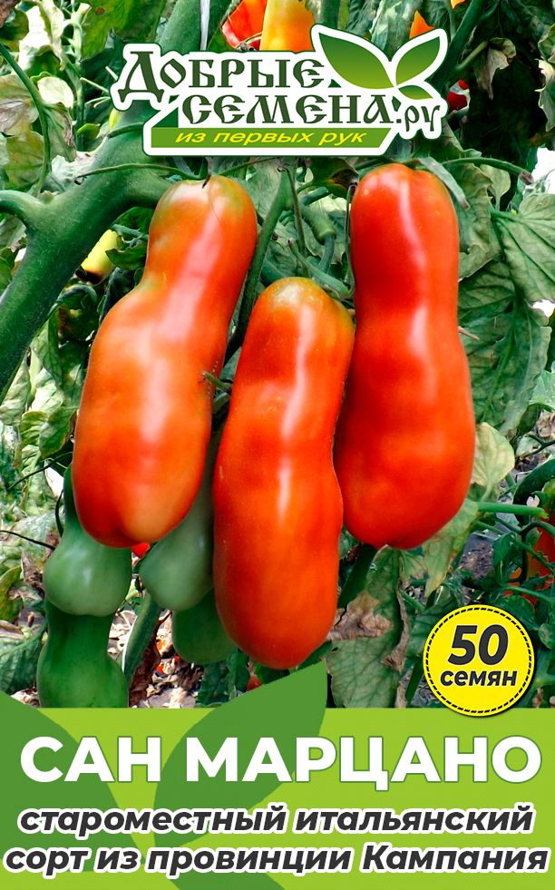 Помидоры сан марцано (san marzano): описание сорта, фото, отзывы