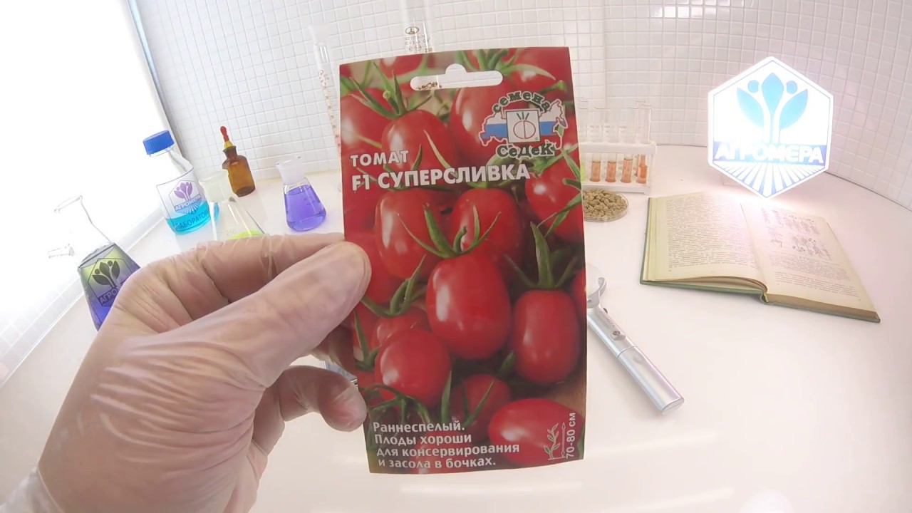 Томат императрица: характеристика и описание сорта, урожайность отзывы фото