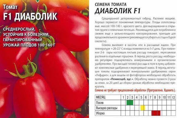 Ультраскороспелые томаты: их выбор и подробное описание