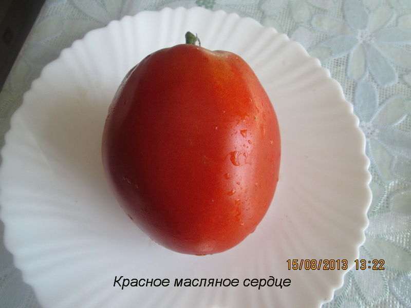 Томат красное масляное сердце: описание сорта, характеристика, отзывы об урожайности, фото