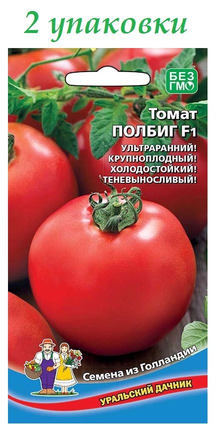 Отличный гибридный сорт помидор «полбиг» порадует и садоводов и фермеров