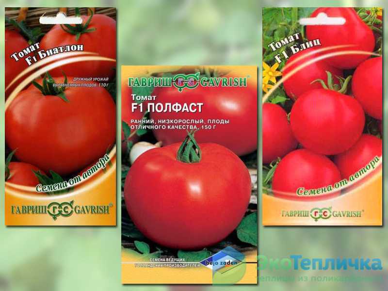 Томат розовый сувенир: отзывы, фото, урожайность
