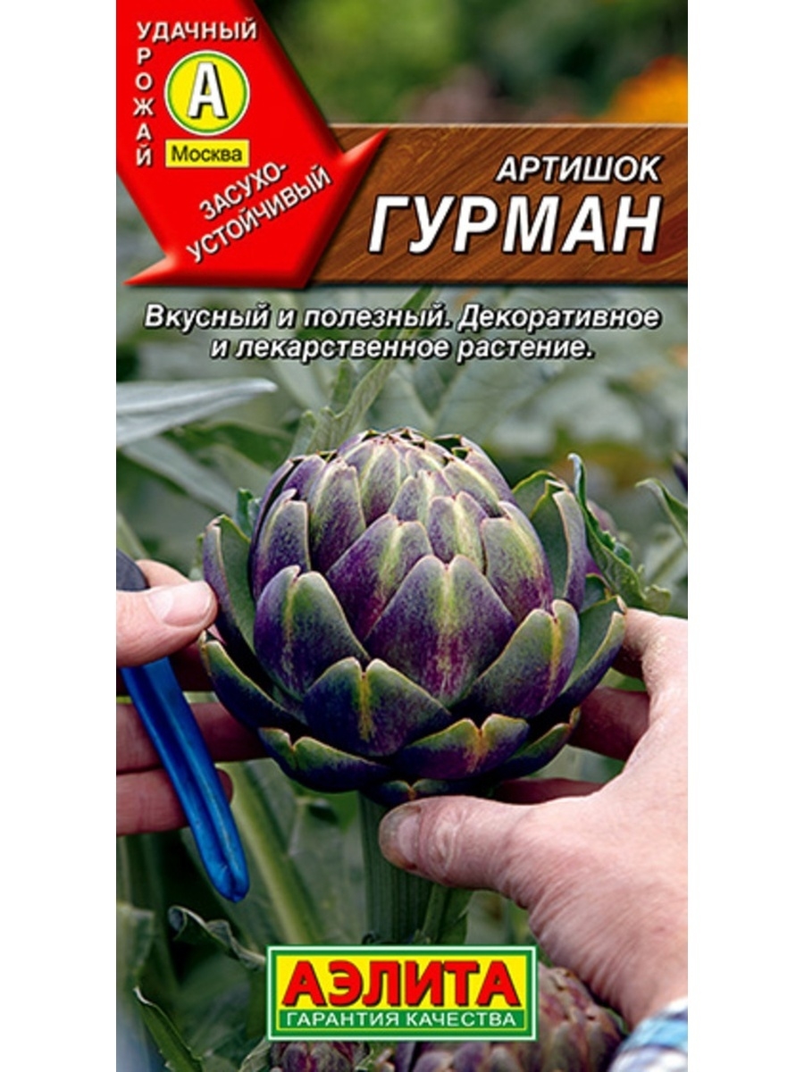 Артишок гурман — выращивание из семян, а также описание, посадка и уход за сортами римский фиолетовый, кардон испанский, гурман, красавец
