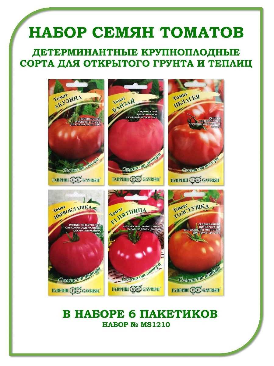 Самые урожайные индетерминантные сорта томатов для теплиц