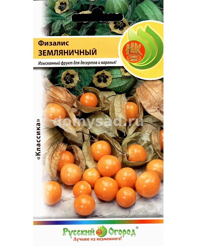 Физалис - виды и выращивание — floraprice.ru