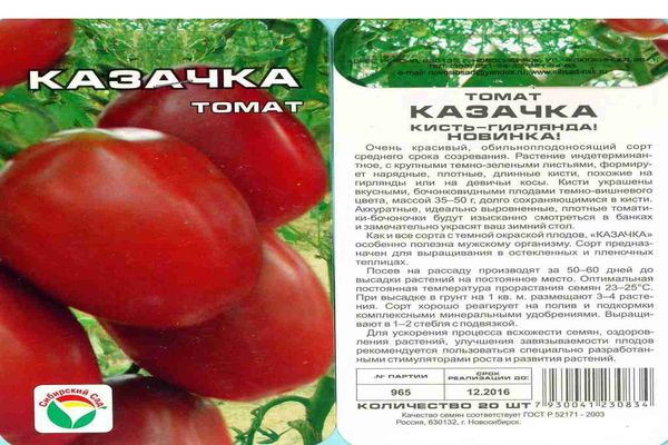 Перец биг бой: характеристика и описание сорта, фото, отзывы, урожайность