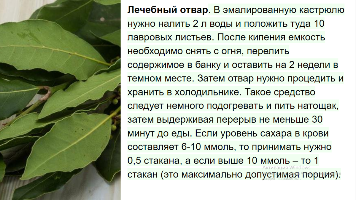 Растение лавр благородный: фото, виды, выращивание в домашних условиях