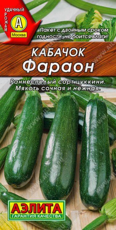 Кабачок фараон: описание сорта, фото, отзывы, нюансы выращивания. кабачок цукини фараон: характеристика и описание сорта, фото
