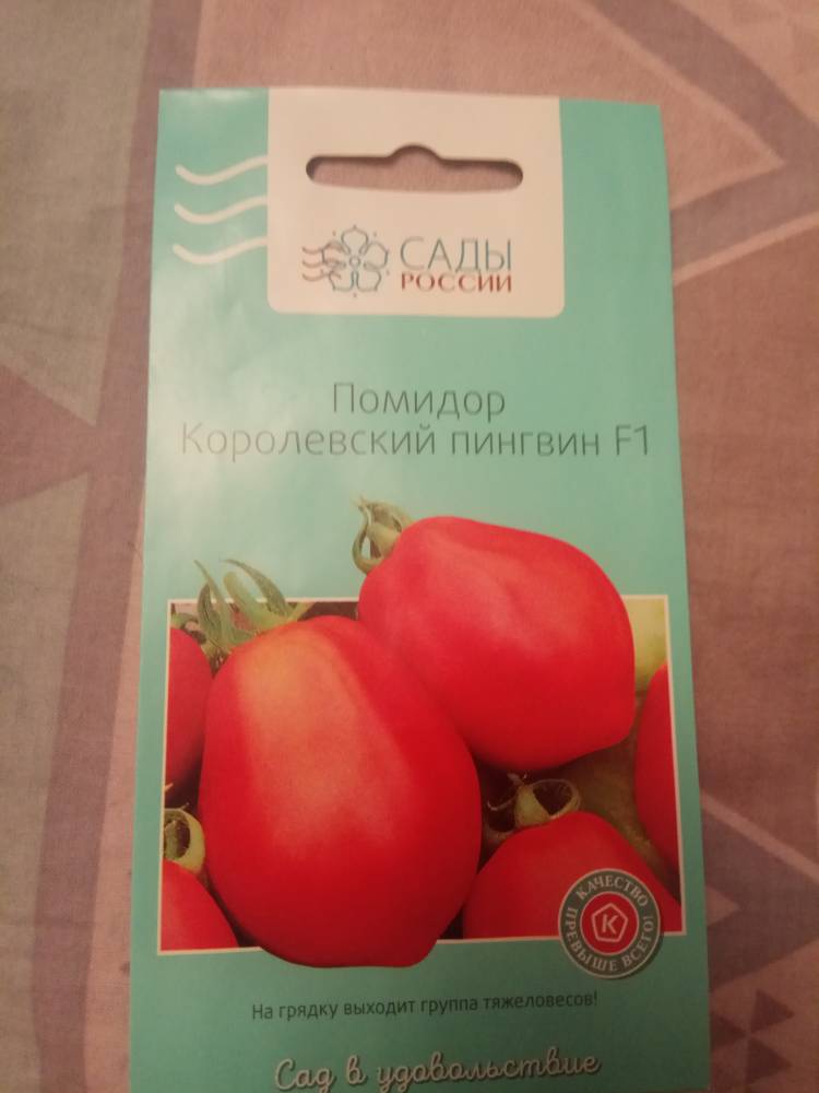 Плоды с запоминающимся медовым вкусом — томат королевский пингвин f1: полное описание сорта