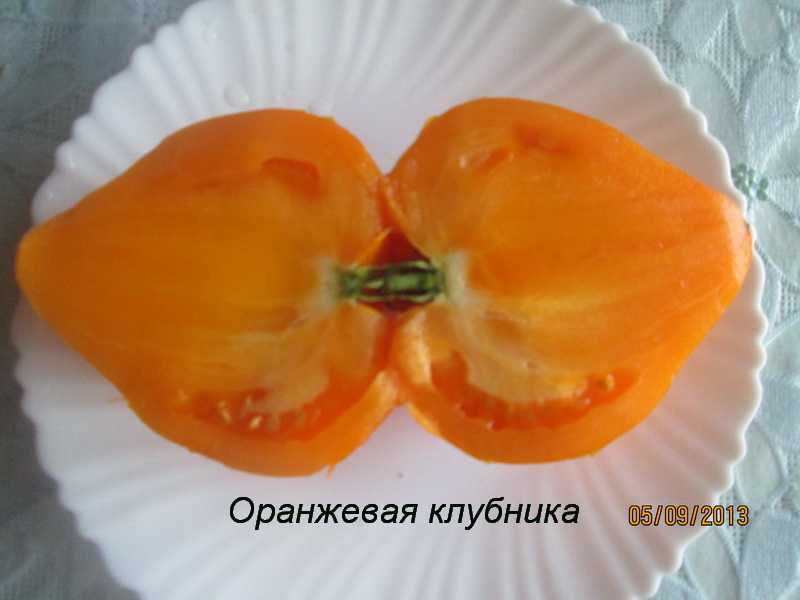 Томат оранжевая клубника: характеристика и описание сорта, фото, отзывы, урожайность