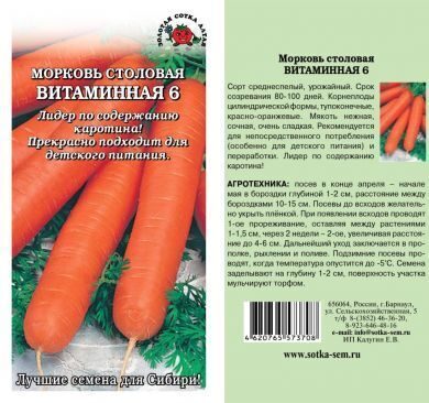 Сорт моркови витаминная 6