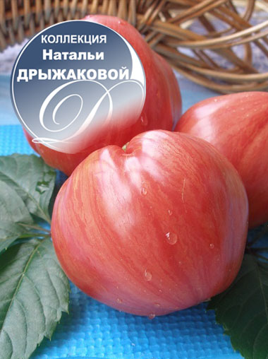 Любимые томаты эксперта и коллекционера лидии ганзен: топ-10 самых, самых