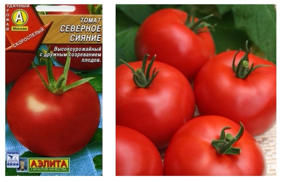Описание и характеристика сорта Крупноплодный салатный сорт Заказать семена томата Северное сияние у коллекционеров