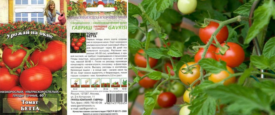 Томат бетта: отзывы (9), фото, описание и характеристика | tomatland.ru