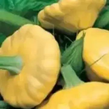 Патиссон диск, 12 шт