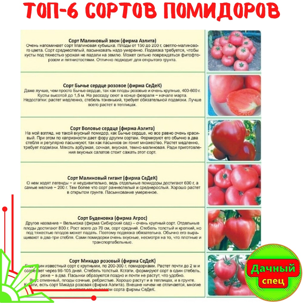 Сорт томатов китайский ранний, описание, характеристика и отзывы, а также особенности выращивания