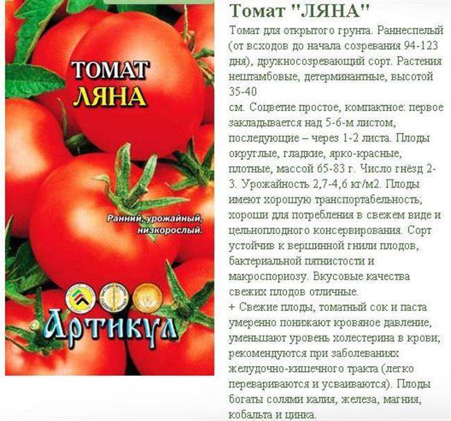 Лучшие сорта томатов для средней полосы россии