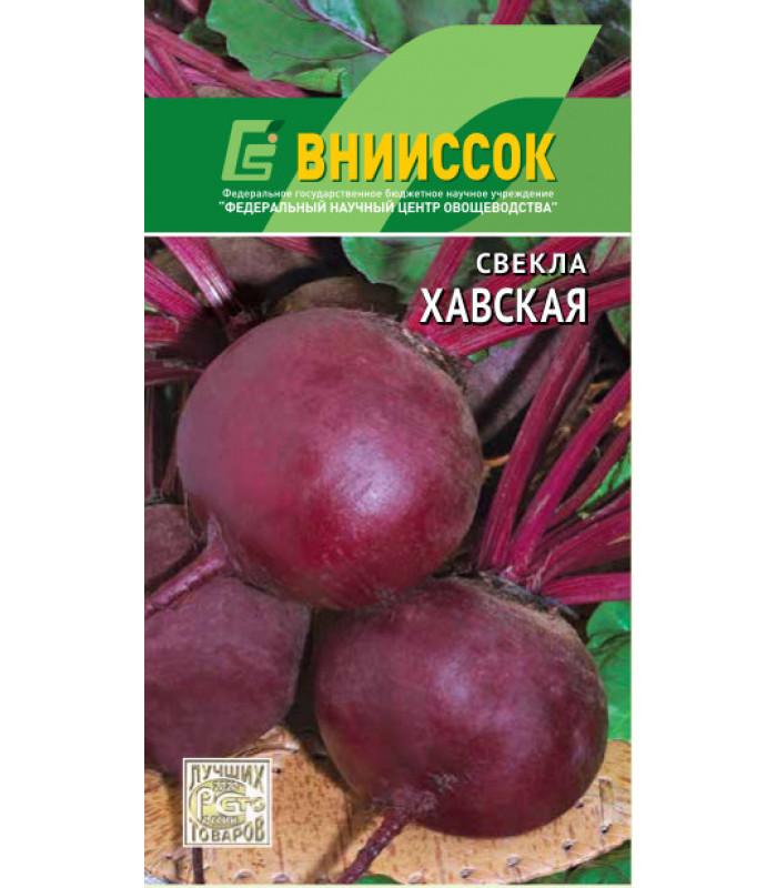 Свёкла — полезные свойства, сортотипы, лучшие сорта. фото — ботаничка