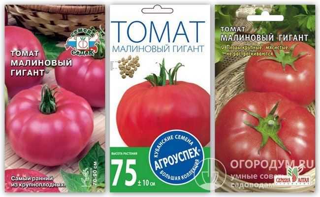 Томат "малиновый гигант": характеристика и описание сорта, отзывы, фото, урожайность