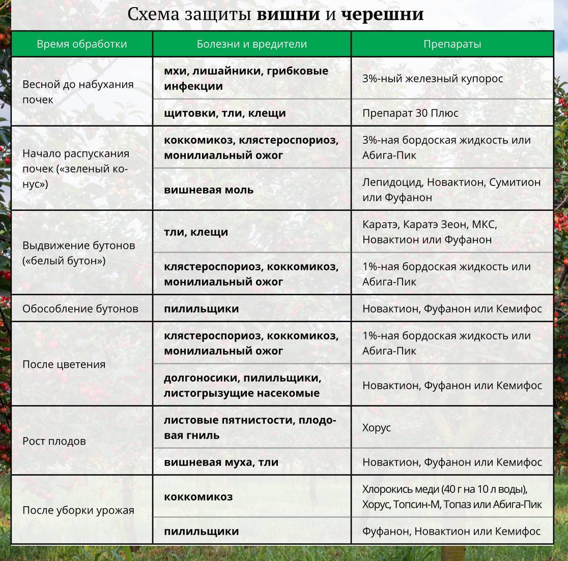 Аэрозоль для уничтожения ползающих и летающих насекомых — дихлофос нео без запаха: инструкция по применению и меры предосторожности