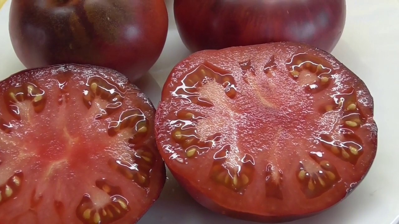 Лучшие сорта томатов на 2024 год: самые вкусные и урожайные